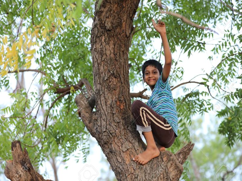 Ashwinikumar :  Climbing Tree