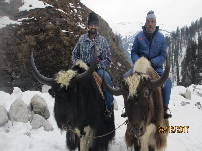 At Manali